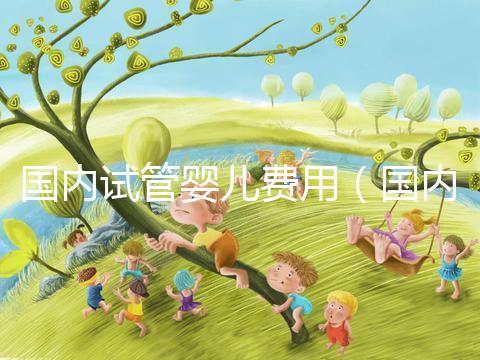 國內(nèi)試管嬰兒費(fèi)用(國內(nèi)試管嬰兒費(fèi)用多少)