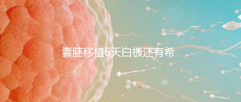 囊胚移植6天白板還有希望嗎？別沮喪該來的總是會來的
