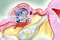 在北京豐臺落戶親子鑒定的地方,首先了解2024年的最新政策