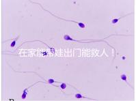 在家能帶娃出門能救人!張云鵬醫(yī)生為救人將孩子塞路人