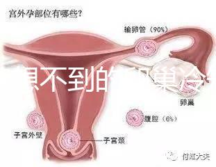你意想不到的卵巢冷知識(shí)6