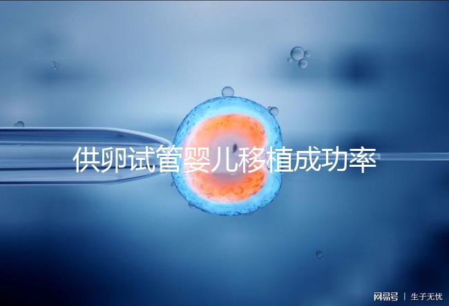 供卵試管嬰兒移植成功率高，一次就能成？很多人都被坑過