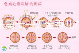 促排第十一天金秀兒灰印、白板均有希望，抽血hcg2懷孕懸