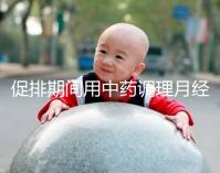 促排期間用中藥調(diào)理月經(jīng)需謹(jǐn)慎，請先弄清楚可不可以吃再說