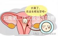 云南第三代試管嬰兒的費用是多少?如何選擇可靠的醫院?這篇文章的策略已經為你做好了