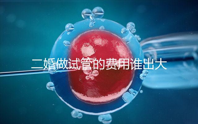 二婚做試管的費用誰出大揭秘！總共要花多少錢清清楚楚！