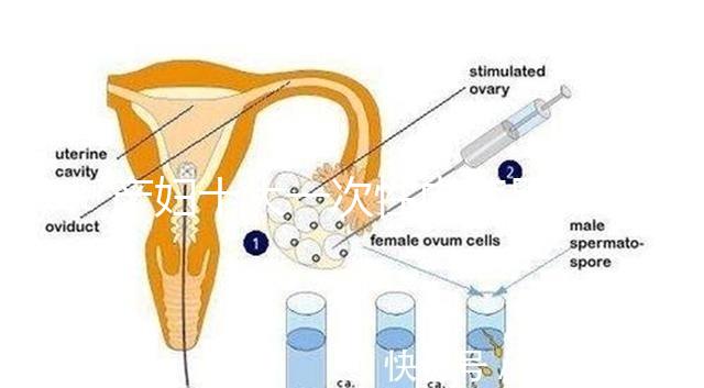 產婦十大一次性內褲品牌排行揭曉，全棉時代質量如何看這