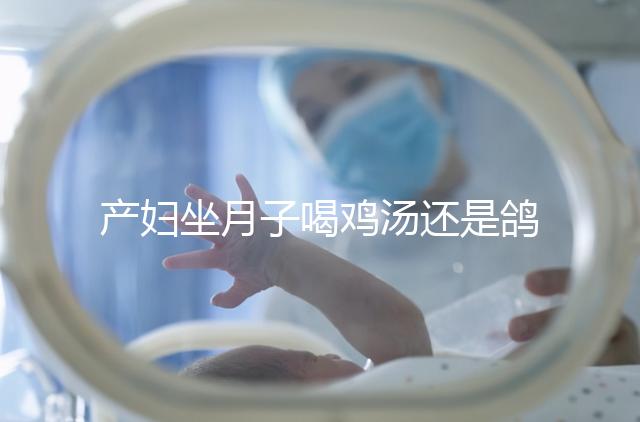 產婦坐月子喝雞湯還是鴿子湯？3個方面對比分析