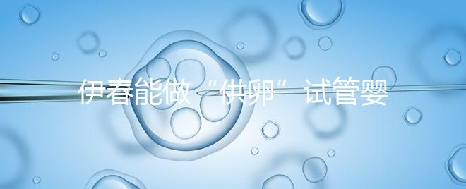 伊春能做“供卵”試管嬰兒嗎？你們想知道的答案在這里