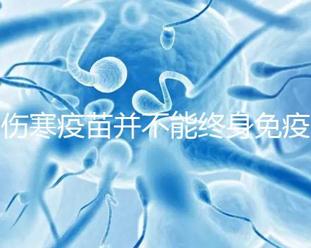 傷寒疫苗并不能終身免疫,有效期過(guò)后仍是易感染人群