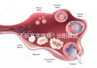 不玩文字游戲！汾陽(yáng)做試管嬰兒成功率和費(fèi)用一覽