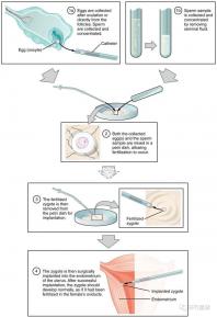 不知欽州哪家男科醫(yī)院好戳,機構能不能一目了然