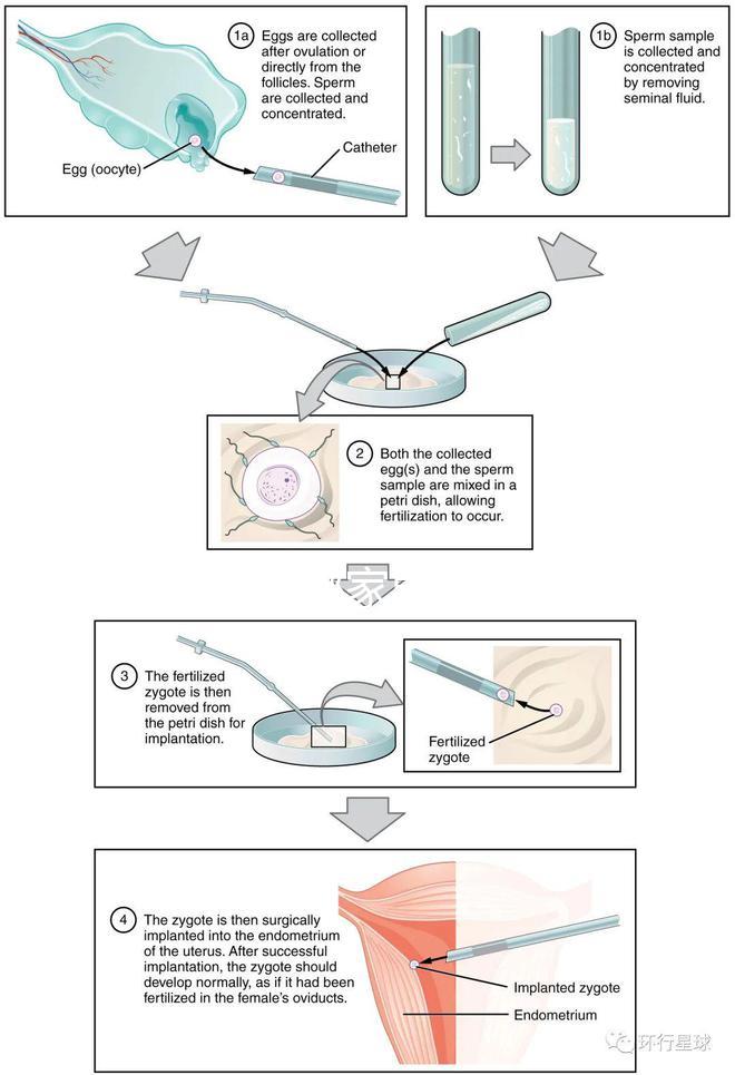 不知?dú)J州哪家男科醫(yī)院好戳,機(jī)構(gòu)能不能一目了然