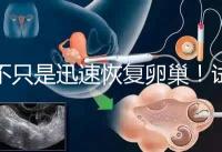 不只是迅速恢復卵巢！試管取卵后吃蘿卜的3大好處匯總