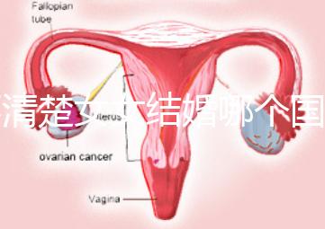 不清楚女女結婚哪個國家能領證來看,歐洲這些地區都可