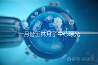 一月份玉林月子中心曝光多少錢？不要錯過2024年福綿三家公司的口碑