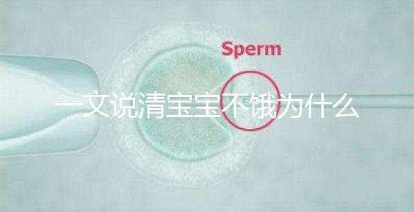 一文說清寶寶不餓為什么瘋狂找奶,找準(zhǔn)原因才好解決