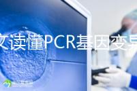 一文讀懂PCR基因變異報告，解讀高通量測序染色體檢查