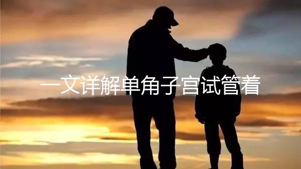 一文詳解單角子宮試管著床困不困難，失敗或和這幾點有關