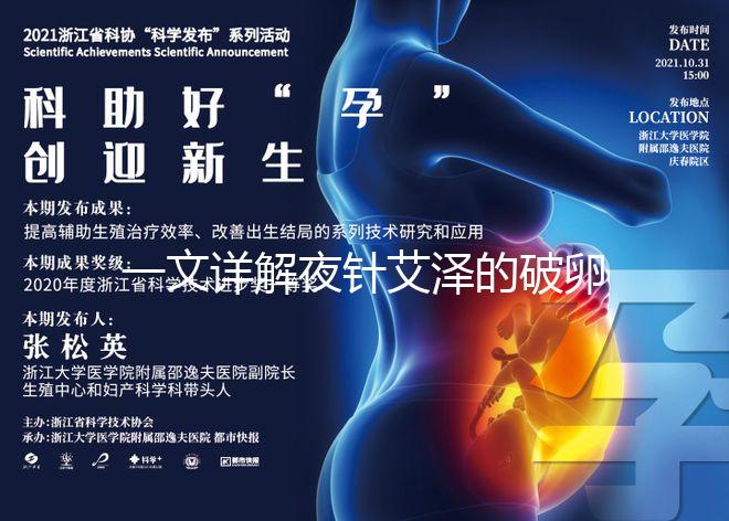 一文詳解夜針艾澤的破卵成功率，60s弄清跟絨促誰更高