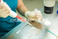 三代條件限制嚴(yán)!盤點(diǎn)國內(nèi)為什么限制三代試管嬰兒?