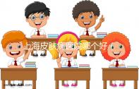 上海皮膚病醫(yī)院哪個好（上海哪家皮膚醫(yī)院最好）