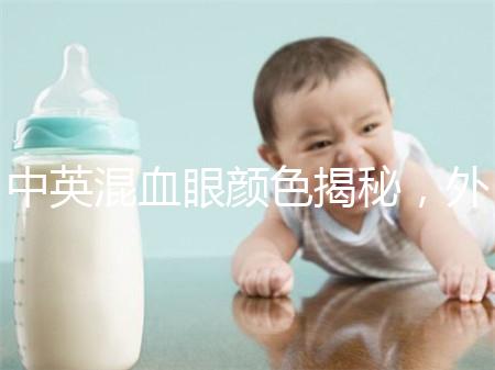 中英混血眼顏色揭秘，外觀特征，長什么樣的快速收藏