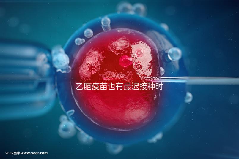 乙腦疫苗也有最遲接種時間，超過這個年齡段打效果差很多