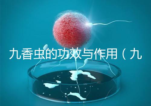 九香蟲(chóng)的功效與作用（九香蟲(chóng)和蜈蚣誰(shuí)最壯陽(yáng)）