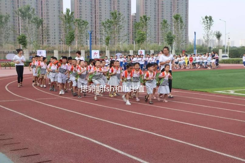 排卵期fsh和lh比值對照參考表速覽,大于2小于3真不正常