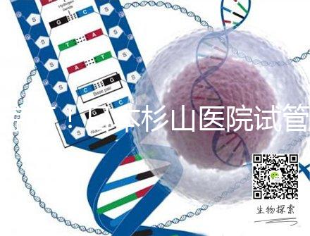 驚訝!日本杉山醫院試管嬰兒成功率和泰國持平