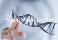 懷孕初期內(nèi)褲分泌物濕黃是男孩!5大原因?yàn)槟憬议_背后真相