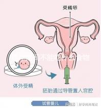 懷孕期間不能吃什么食物？