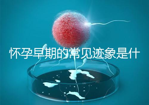 懷孕早期的常見(jiàn)跡象是什么？