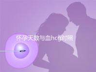 懷孕天數(shù)與血hcg對(duì)照表參考,孕早期排除病理性生化妊娠