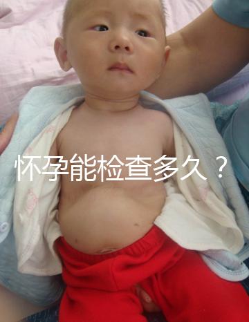 懷孕能檢查多久？