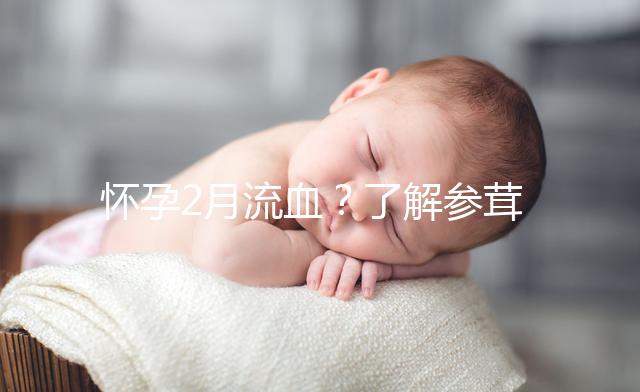 懷孕2月流血?了解參茸保胎丸作用可輕松保胎