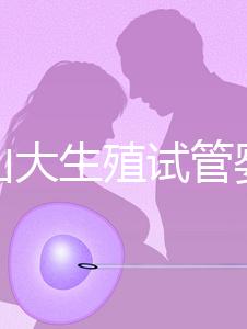 提升山大生殖試管嬰兒成功率，“老司機”送你這4招！