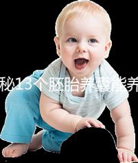 揭秘13個胚胎養囊能養成幾個，別以為6個著床幾率就高