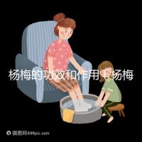 楊梅的功效和作用(楊梅的功效和作用禁忌 營養價值)