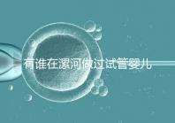 有誰在漯河做過試管嬰兒，具體費用及成功率是多少？