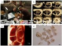 新生兒護理五大內容6個要點整理，嬰兒養育照護干貨來了