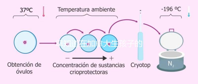 早知道在加拿大生孩子的國籍是什么！最后期限附回國定居
