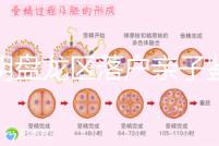 昆明盤龍區落戶親子鑒定在哪里看這,2024流程、費用都有