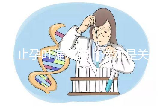 止孕吐偏方蘿卜選對(duì)是關(guān)鍵，懷孕初期生吃or煲湯功效不同