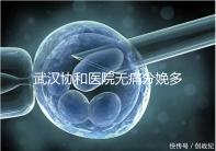 武漢協(xié)和醫(yī)院無痛分娩多少錢答案在這，住院一天費(fèi)用不高