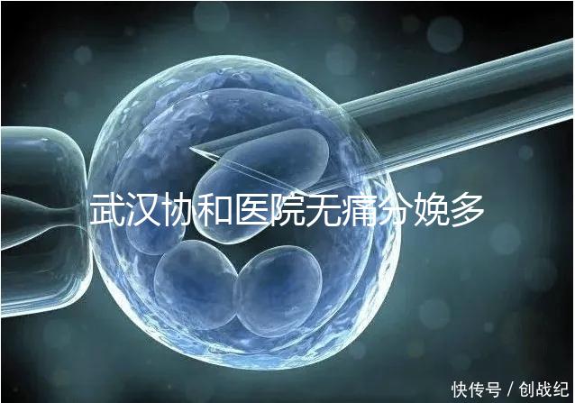 武漢協(xié)和醫(yī)院無痛分娩多少錢答案在這,住院一天費(fèi)用不高