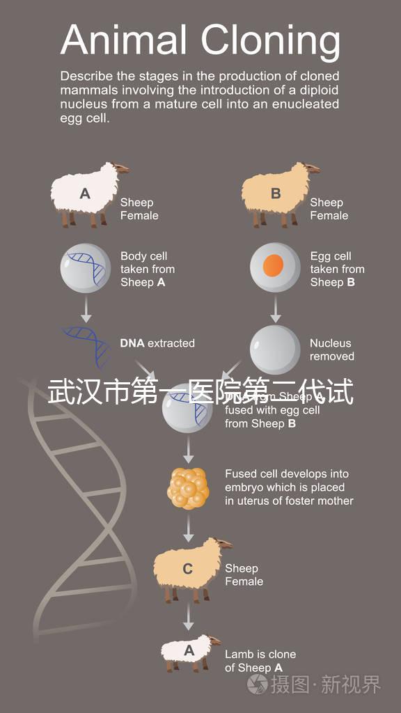 武漢市第一醫院第二代試管怎么樣？2024年助孕成功率數據公布