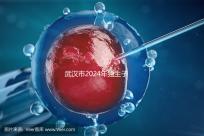 武漢市2024年獨生子女補貼政策已經(jīng)實施,領(lǐng)取流程更加規(guī)范