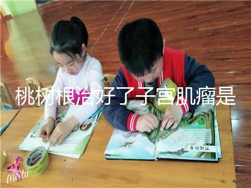 桃樹根治好了子宮肌瘤是謠言？和豬肉一起吃效果真不賴